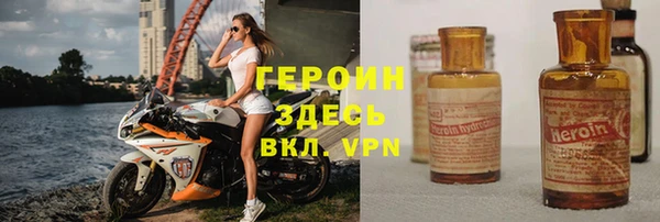 хмурый Аркадак