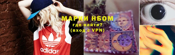 хмурый Аркадак