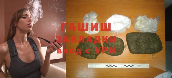 хмурый Аркадак