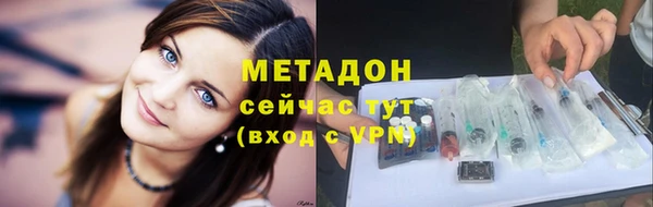 хмурый Аркадак