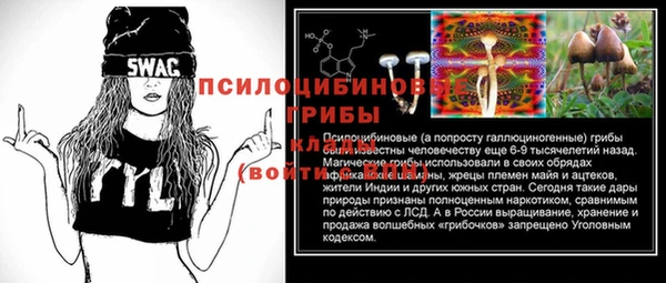 хмурый Аркадак