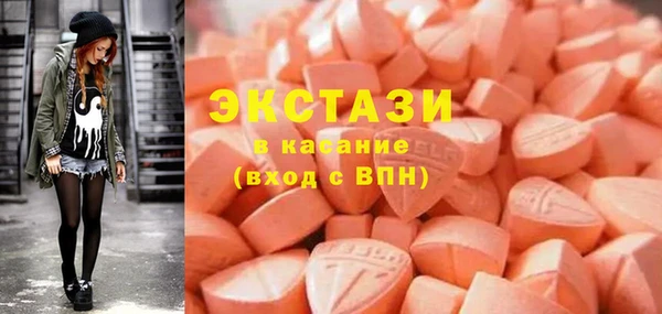 хмурый Аркадак