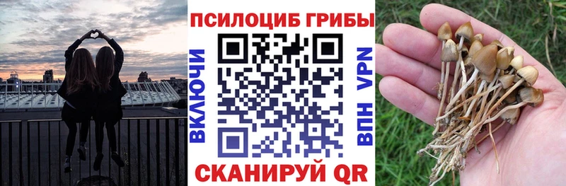 кракен ONION  Трубчевск  Галлюциногенные грибы MAGIC MUSHROOMS 