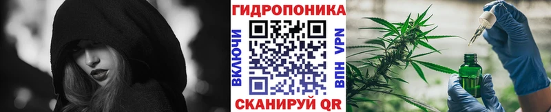 Бошки Шишки индика  Трубчевск 